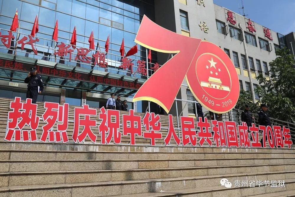 救援非洲金猫